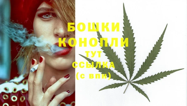 МДПВ Волосово