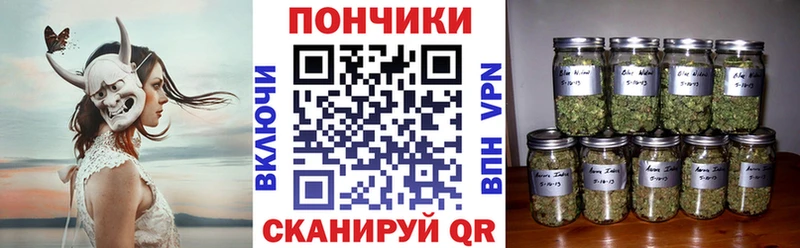 где найти наркотики  Камешково  hydra зеркало  мориарти официальный сайт  Марихуана сатива 